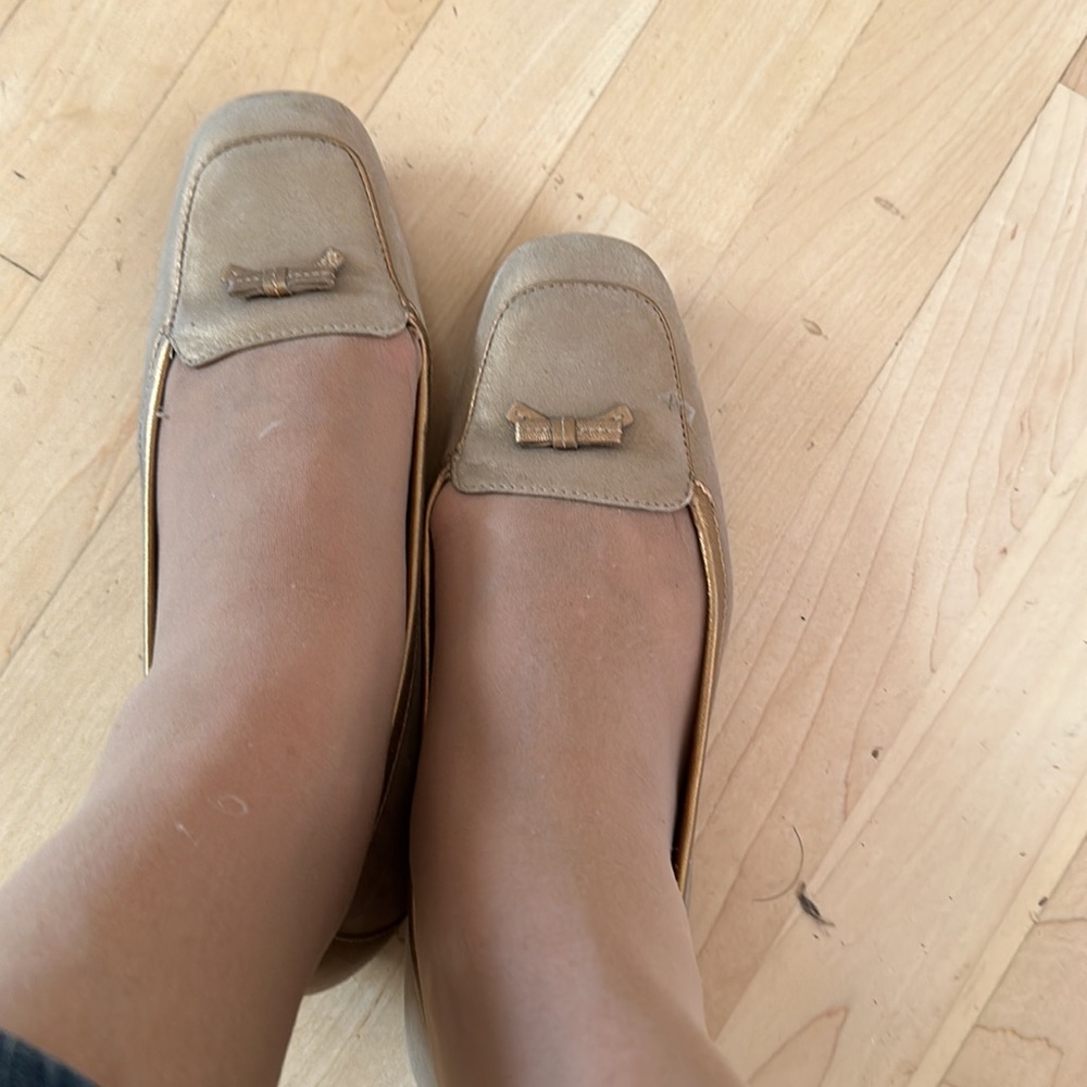 Talbots - Picture 6 of 6